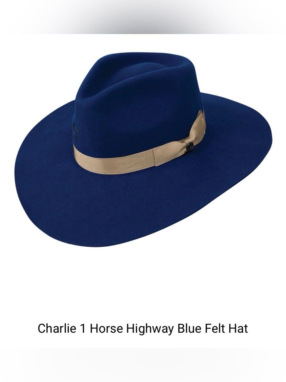 Charlie 1 Horse Blue Felt Hat